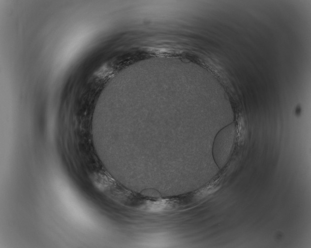 X0000116120430200912141050