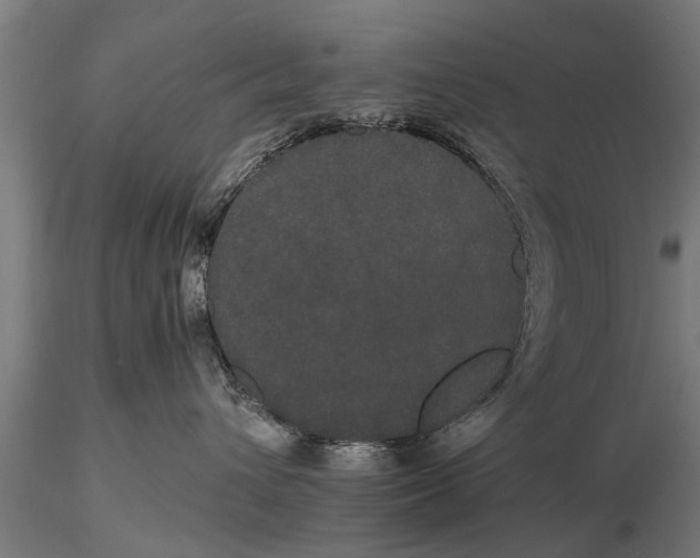 X0000116120432200912141050