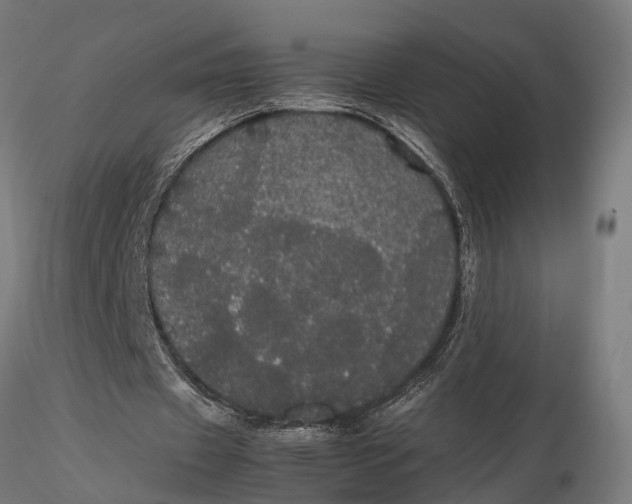 X0000116120433200912141049