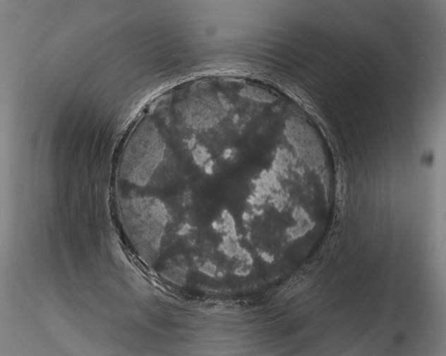 X0000116120434200912141049