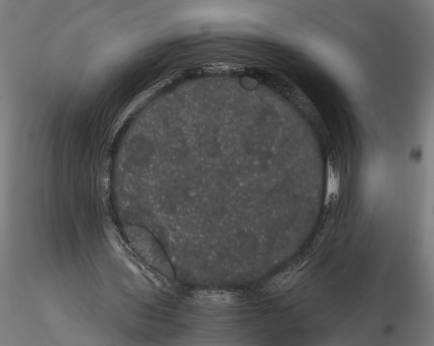 X0000116120435200912141049