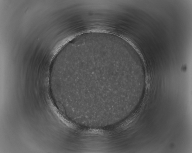 X0000116120437200912141049