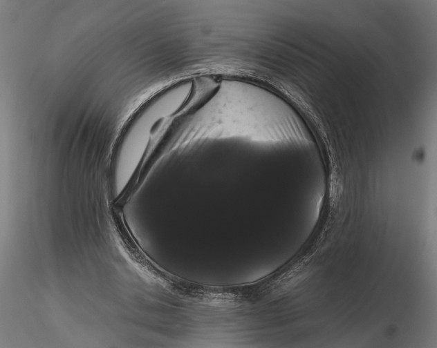 X0000116120438200912141049