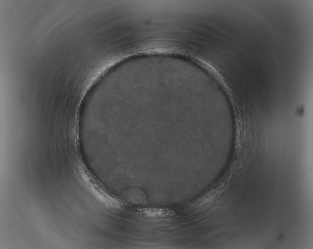 X0000116120439200912141049