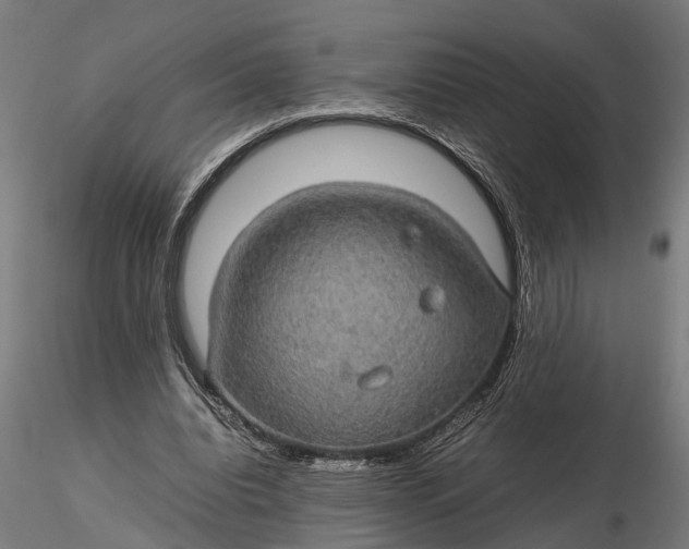 X0000116120440200912141049