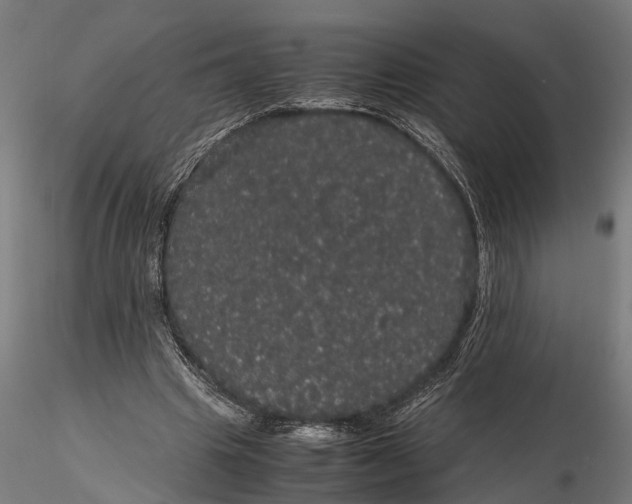 X0000116120441200912141049