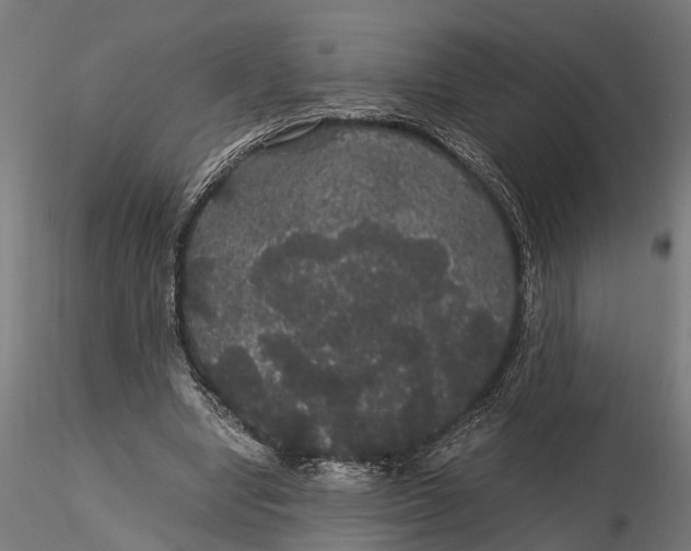 X0000116120442200912141049