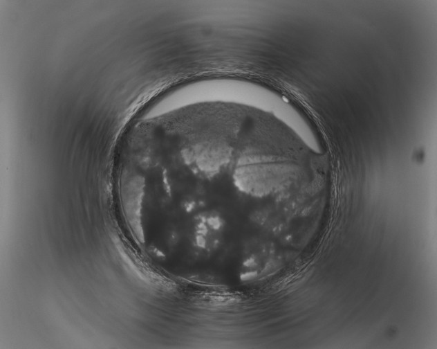 X0000116120443200912141049