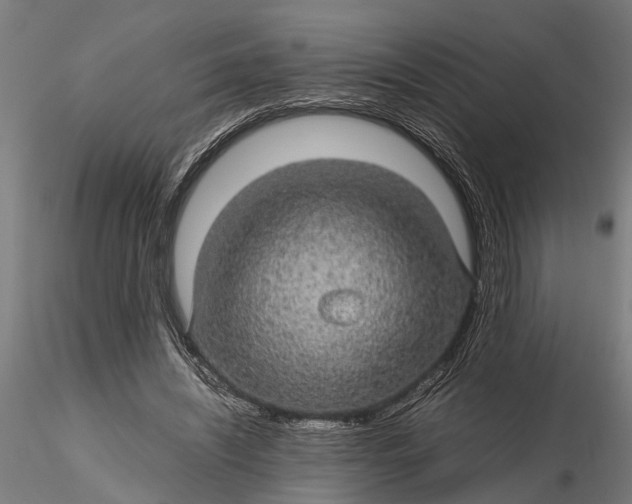 X0000116120444200912141049