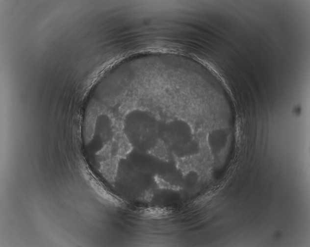 X0000116120445200912141049