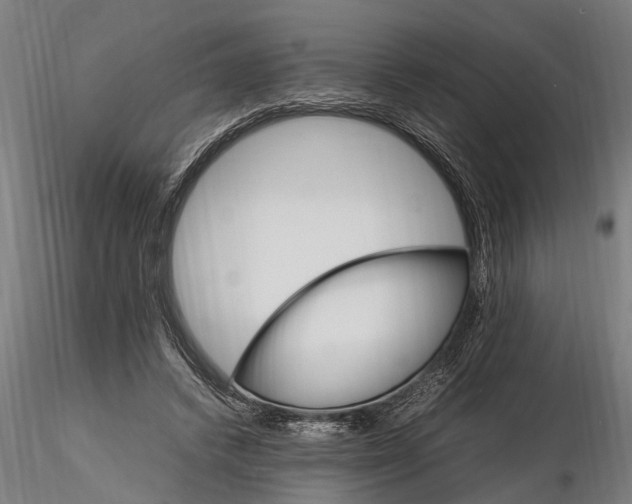 X0000116120448200912141049