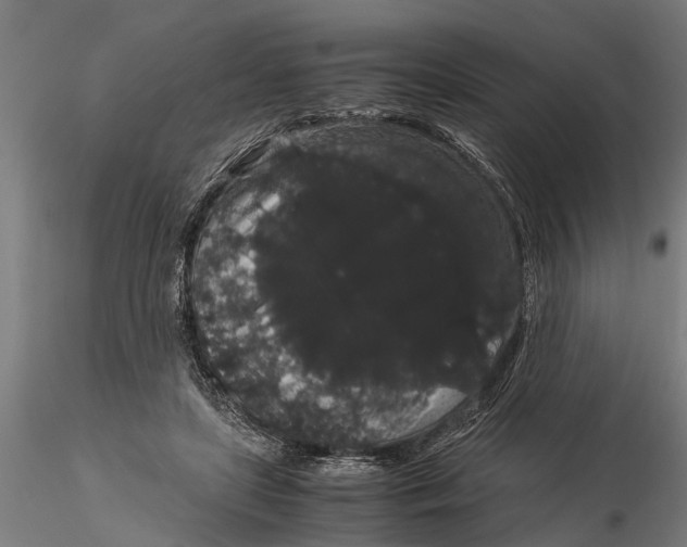 X0000116120451200912141049