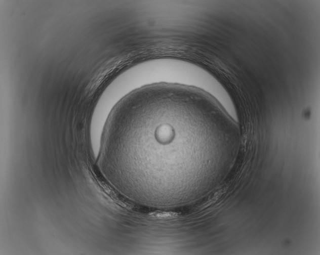 X0000116120452200912141049