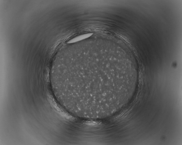 X0000116120453200912141049