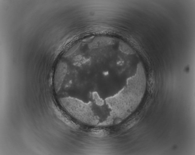 X0000116120454200912141049