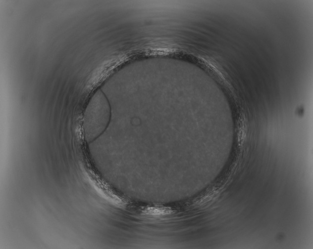 X0000116120455200912141049