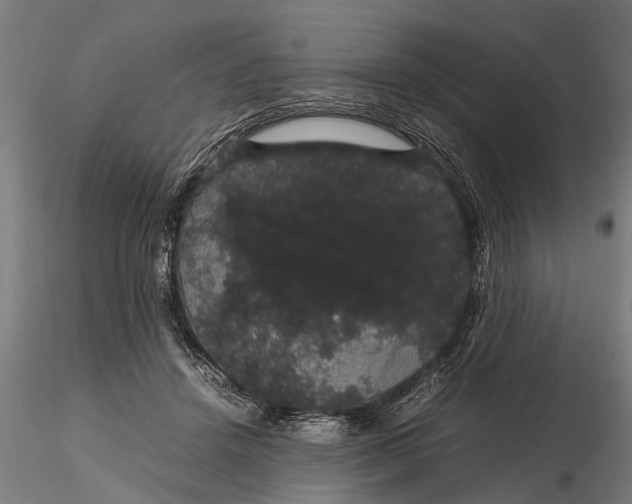 X0000116120456200912141049