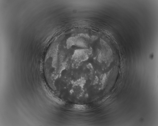 X0000116120457200912141049