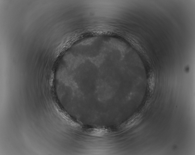 X0000116120458200912141049