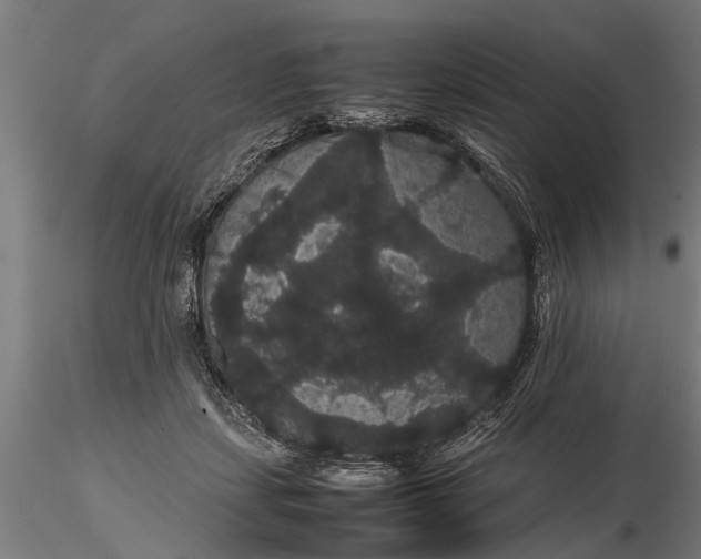 X0000116120459200912141049