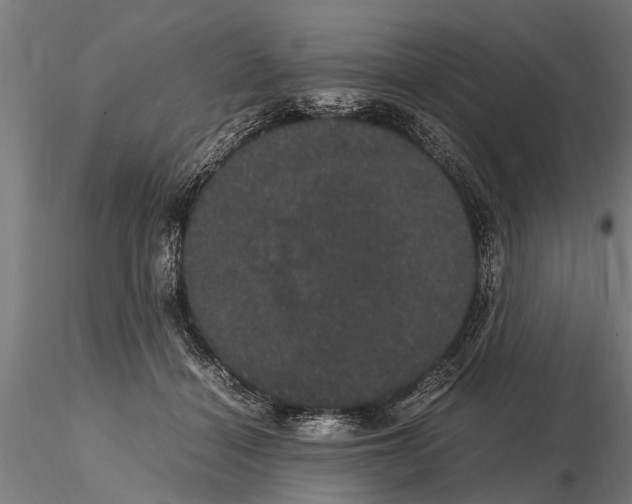 X0000116120460200912141049