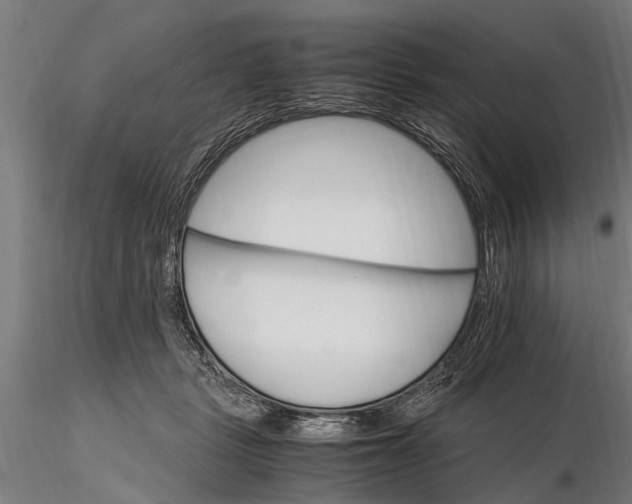 X0000116120461200912141050