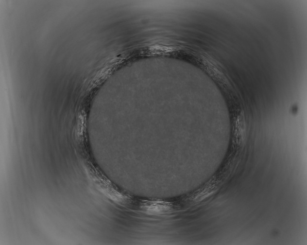 X0000116120463200912141050