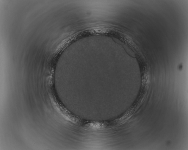 X0000116120464200912141050