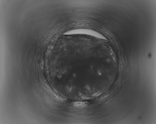 X0000116120465200912141050