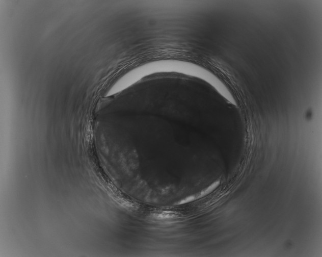 X0000116120467200912141050