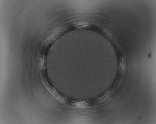 X0000116120468200912141050