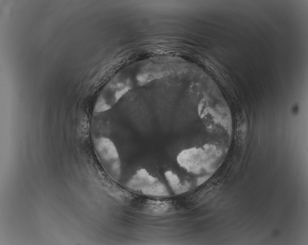 X0000116120469200912141050