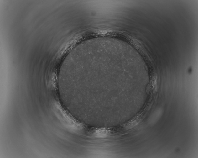 X0000116120470200912141050