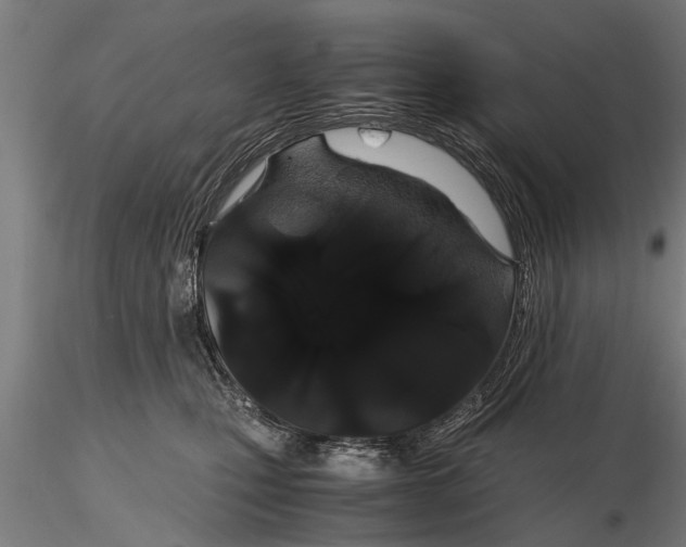 X0000116120471200912141050