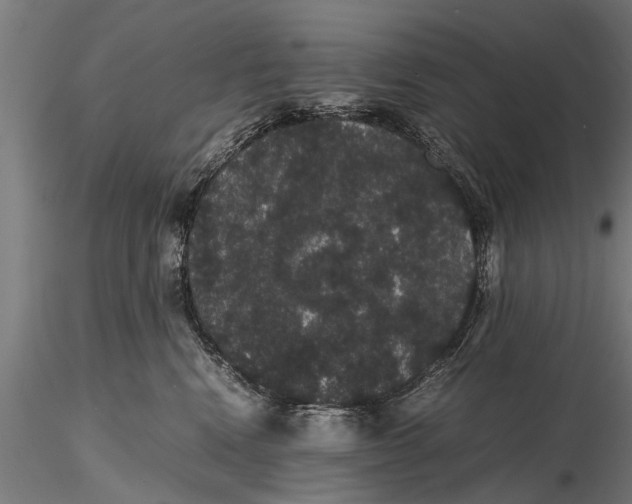 X0000116120472200912141050