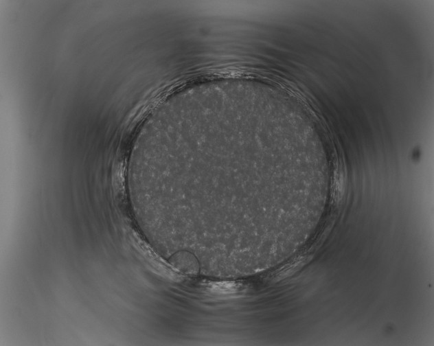 X0000116120473200912141050