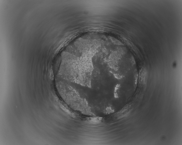 X0000116120474200912141050