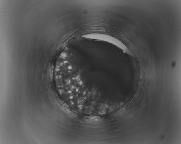 X0000116120475200912141050