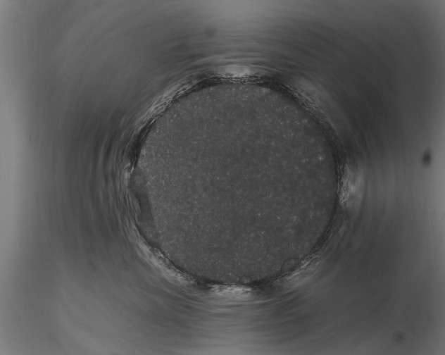 X0000116120476200912141050