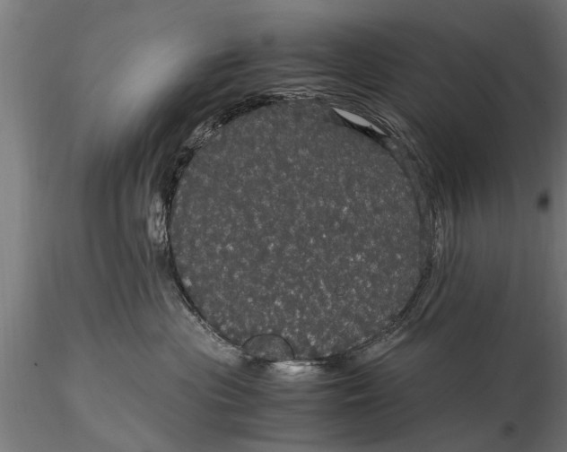 X0000116120477200912141050