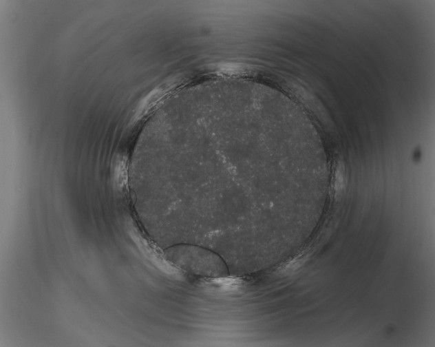 X0000116120478200912141050