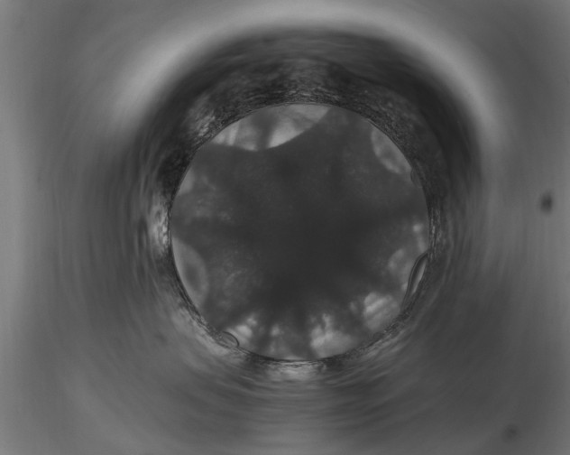 X0000116120479200912141050