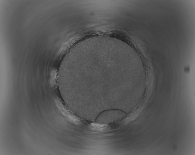 X0000116120480200912141050