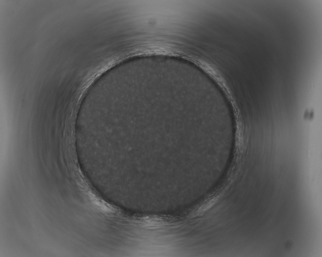 X0000116120481200912141049