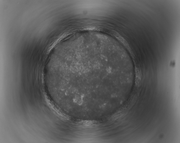 X0000116120482200912141049