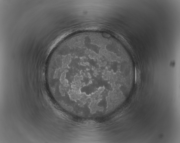 X0000116120483200912141049