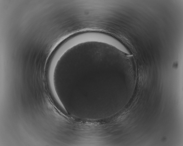 X0000116120484200912141049