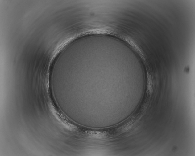 X0000116120486200912141049