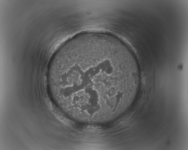 X0000116120487200912141049