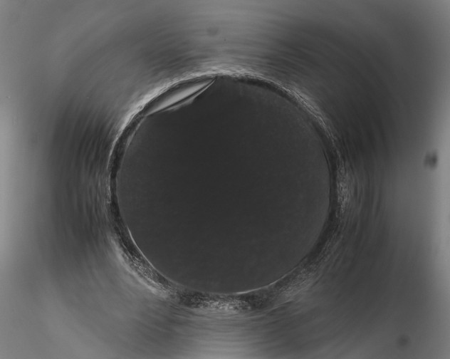 X0000116120488200912141049